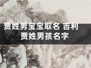 贾姓男宝宝取名 吉利贾姓男孩名字