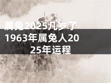 属兔2025几岁了 1963年属兔人2025年运程
