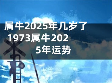 属牛2025年几岁了 1973属牛2025年运势