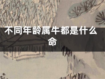 不同年龄属牛都是什么命