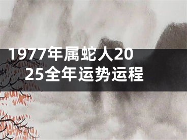 1977年属蛇人2025全年运势运程