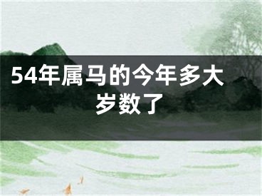 54年属马的今年多大岁数了