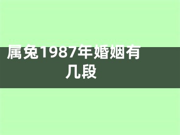 属兔1987年婚姻有几段 