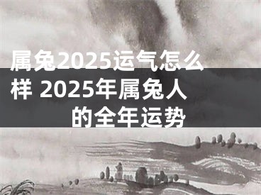属兔2025运气怎么样 2025年属兔人的全年运势
