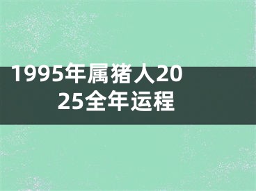 1995年属猪人2025全年运程