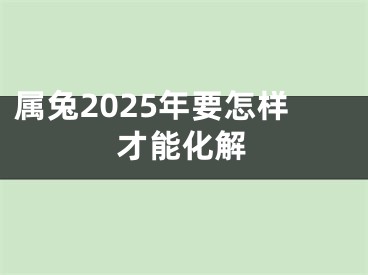 属兔2025年要怎样才能化解