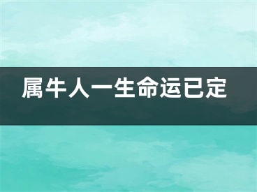 属牛人一生命运已定