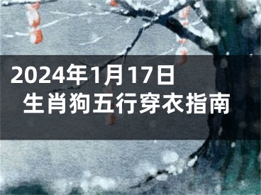 2024年1月17日生肖狗五行穿衣指南
