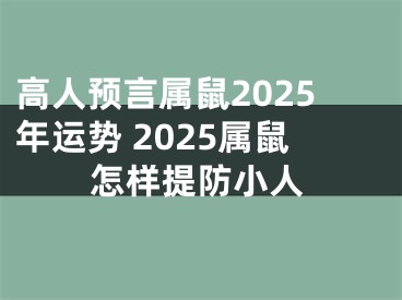 高人预言属鼠2025年运势 2025属鼠怎样提防小人