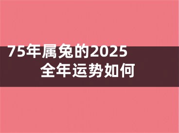 75年属兔的2025全年运势如何