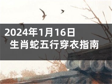 2024年1月16日生肖蛇五行穿衣指南