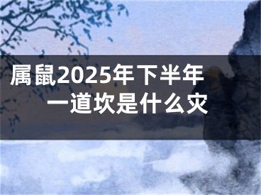 属鼠2025年下半年一道坎是什么灾