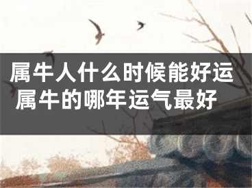 属牛人什么时候能好运 属牛的哪年运气最好
