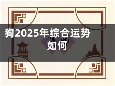 狗2025年综合运势如何