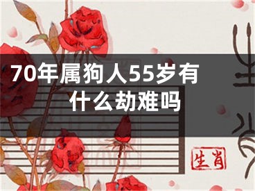 70年属狗人55岁有什么劫难吗
