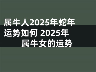 属牛人2025年蛇年运势如何 2025年属牛女的运势