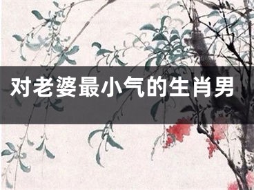 对老婆最小气的生肖男