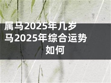 属马2025年几岁 马2025年综合运势如何
