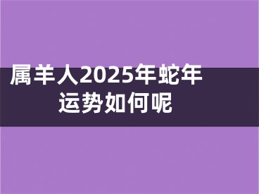属羊人2025年蛇年运势如何呢 
