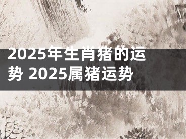 2025年生肖猪的运势 2025属猪运势