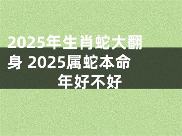 2025年生肖蛇大翻身 2025属蛇本命年好不好