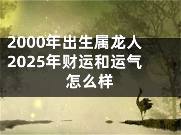 2000年出生属龙人2025年财运和运气怎么样