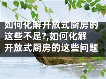 如何化解开放式厨房的这些不足?,如何化解开放式厨房的这些问题