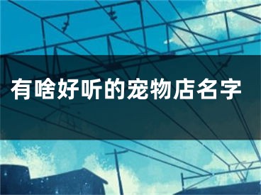 有啥好听的宠物店名字