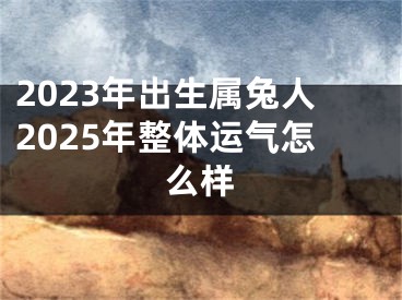 2023年出生属兔人2025年整体运气怎么样