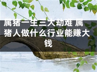 属猪一生三大劫难 属猪人做什么行业能赚大钱