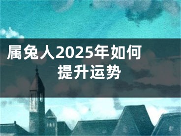 属兔人2025年如何提升运势