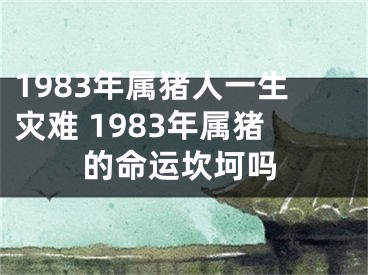 1983年属猪人一生灾难 1983年属猪的命运坎坷吗