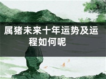 属猪未来十年运势及运程如何呢 