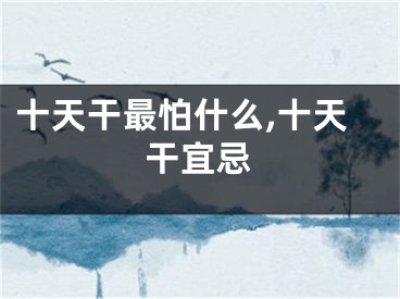十天干最怕什么,十天干宜忌