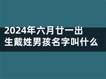 2024年六月廿一出生戴姓男孩名字叫什么