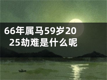 66年属马59岁2025劫难是什么呢 