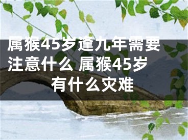 属猴45岁逢九年需要注意什么 属猴45岁有什么灾难
