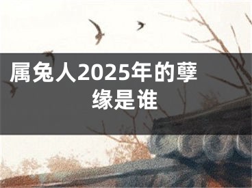 属兔人2025年的孽缘是谁