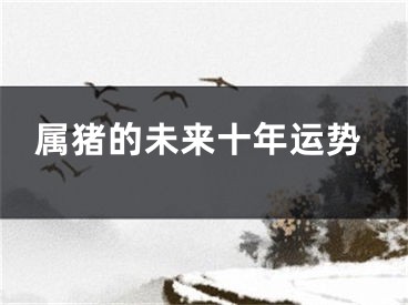 属猪的未来十年运势
