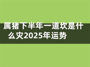 属猪下半年一道坎是什么灾2025年运势