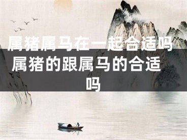属猪属马在一起合适吗 属猪的跟属马的合适吗