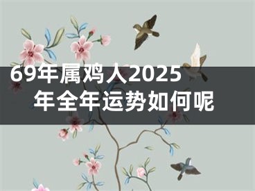 69年属鸡人2025年全年运势如何呢