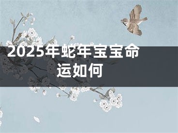 2025年蛇年宝宝命运如何 