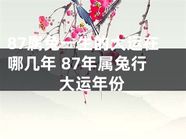 87属兔一生的大运在哪几年 87年属兔行大运年份