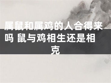 属鼠和属鸡的人合得来吗 鼠与鸡相生还是相克