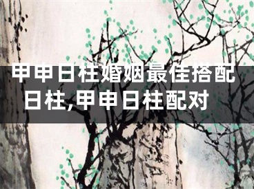 甲申日柱婚姻最佳搭配日柱,甲申日柱配对