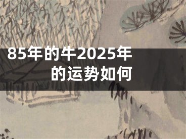 85年的牛2025年的运势如何