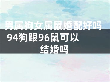 男属狗女属鼠婚配好吗 94狗跟96鼠可以结婚吗