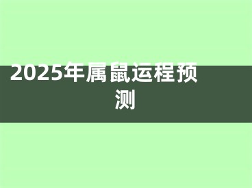 2025年属鼠运程预测