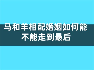 马和羊相配婚姻如何能不能走到最后